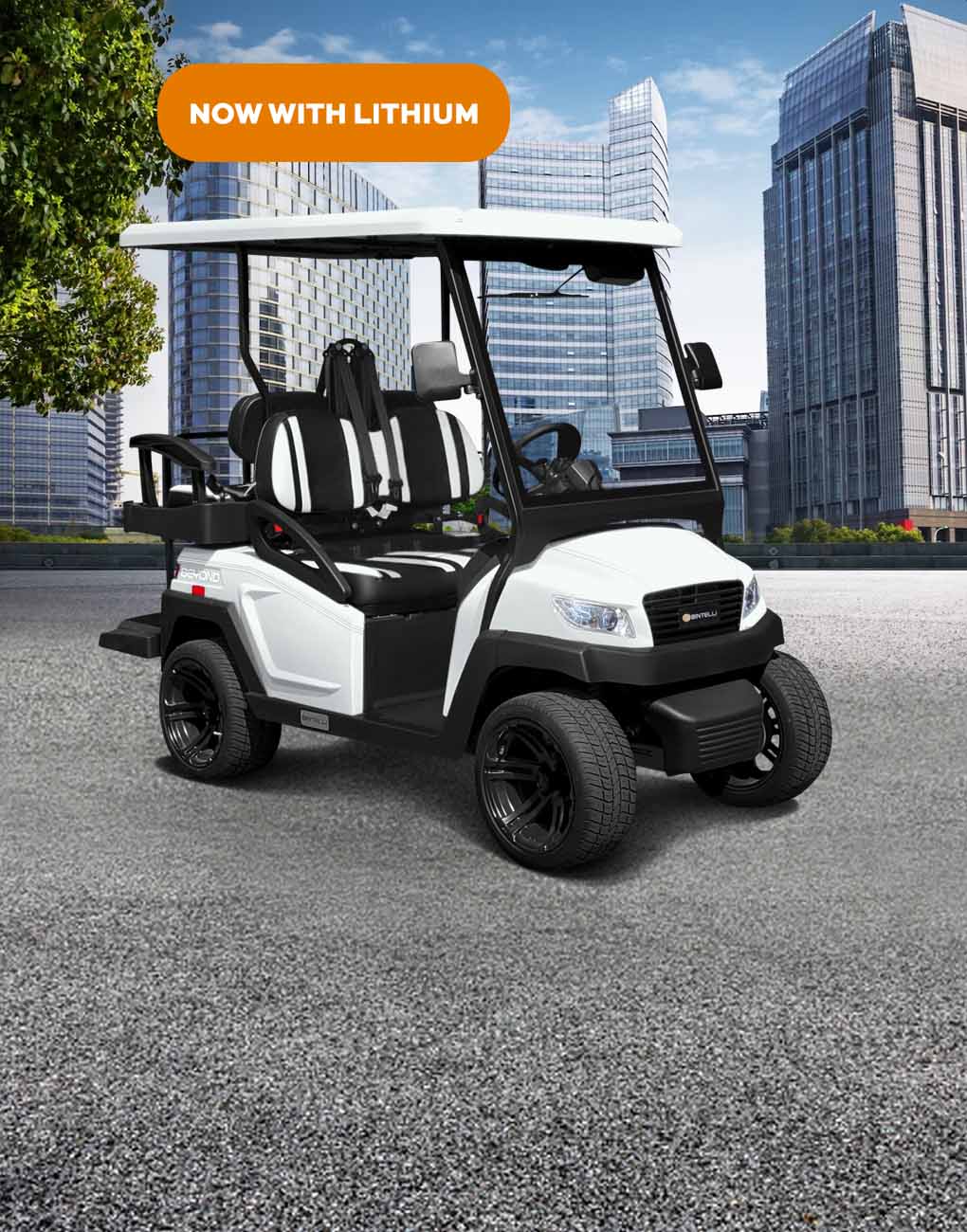 Club Car Models by Year  Golf Carts for Sale in West Palm Beach, FL -  Custom Cart Connection