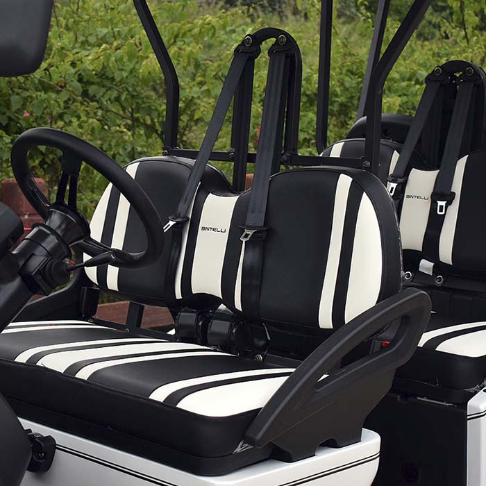A row of bintelli beyond street-legal golf carts with black and white seats
