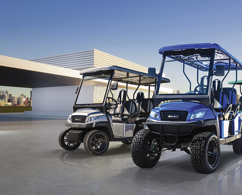 New Electric Golf Carts For Sale 4 & 6 Seat Street Legal Golf Carts