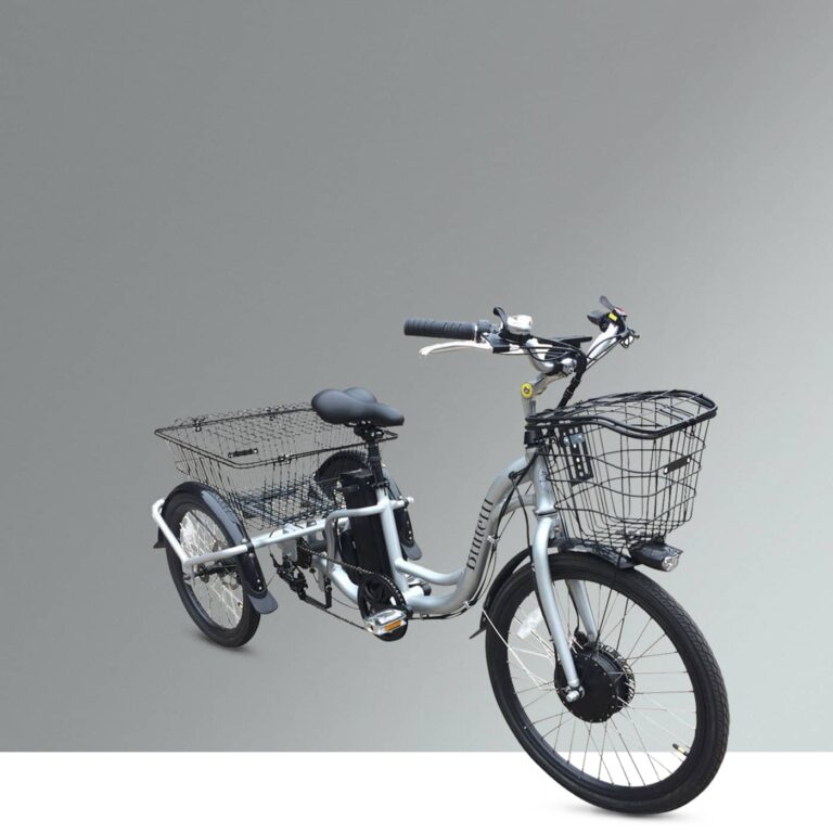 Trio is the first tricycle in the Bintelli fleet