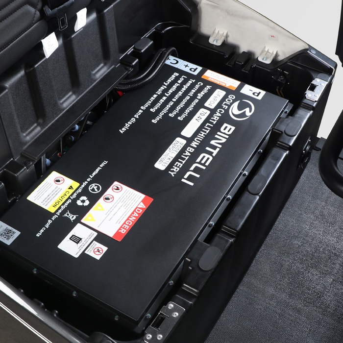 bintelli nexus battery